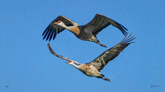 Heart of Sandhills