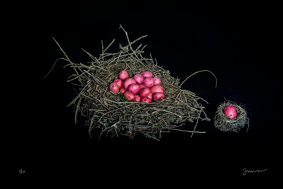 Potato Nest