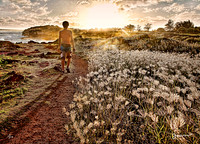 God's Playground