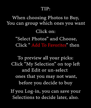 How to Save your Picks