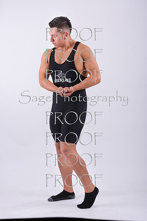 _CS_8010