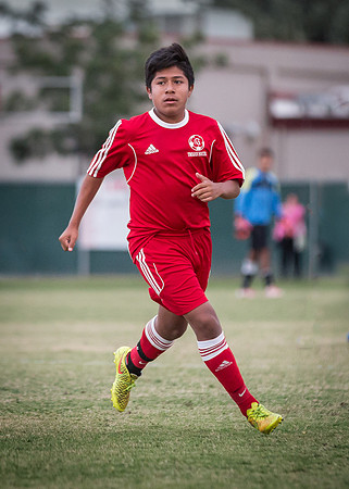 20141015-_57A3149