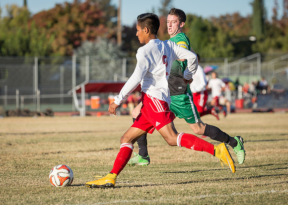 20141029-_57A4711