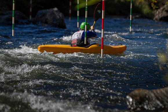 TCS_5038