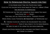 Download instrucions