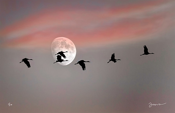 Sandhill Moon