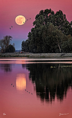 Lost Isle Moonrise