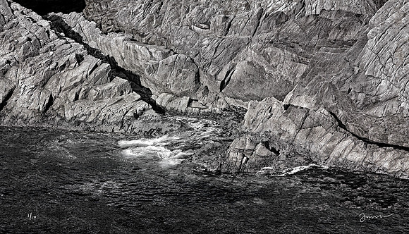 Point Lobos Swag