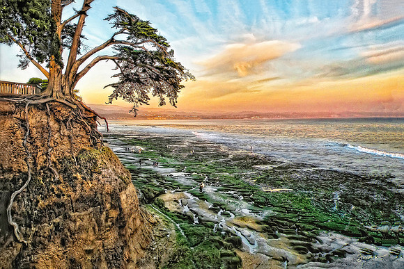 Pleasure Point, Santa Cruz