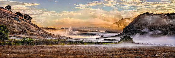 Primeval Estero De Americano Creek