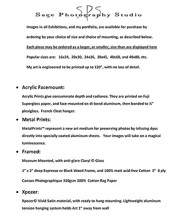 Purchase Option Description