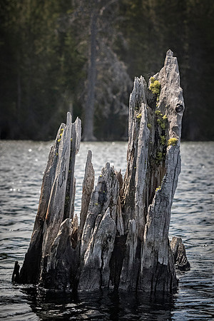 _I0A0865-Edit-49