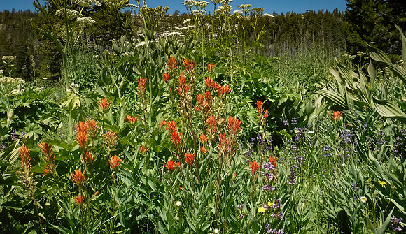 DSCF2252-2