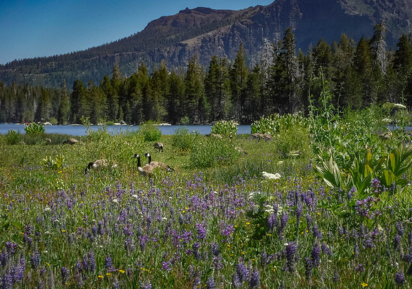 DSCF2257-3