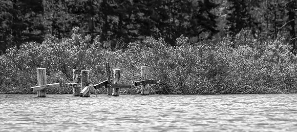 _I0A0328-Edit-11