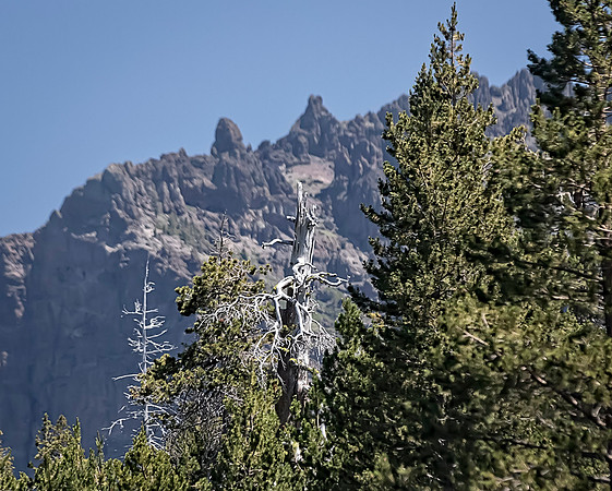 _I0A0339-Edit-12