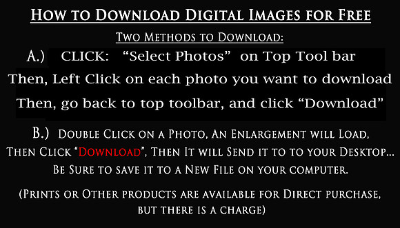 How to Download  Instructions