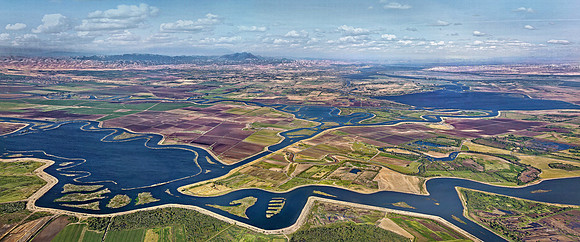 Heartbeat of the Delta