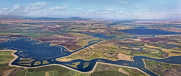 The Middle of The Delta