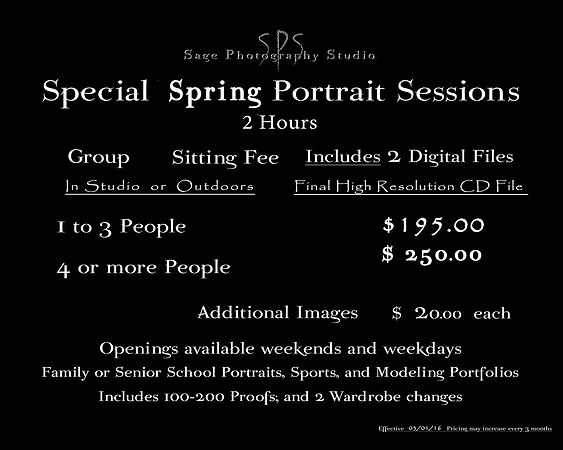 Portrait Sitting Fee