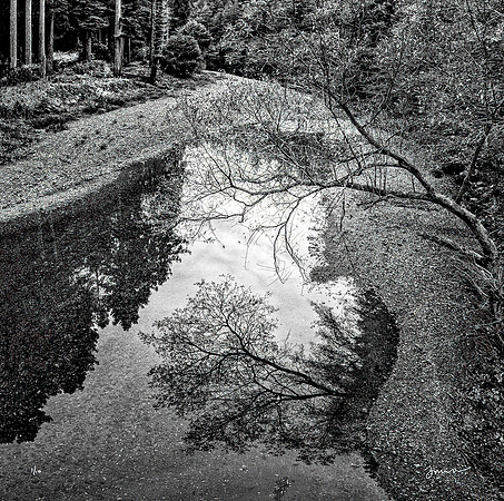 Reflection
