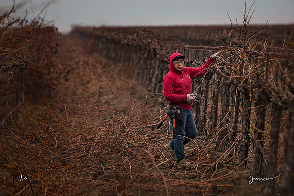Pruning Time