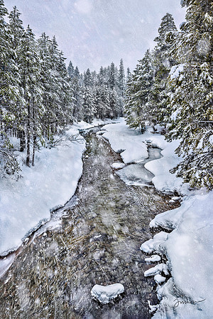 Upstream Wonderland