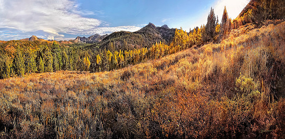 Elephants Back and Round Top Peak, Carson Pass