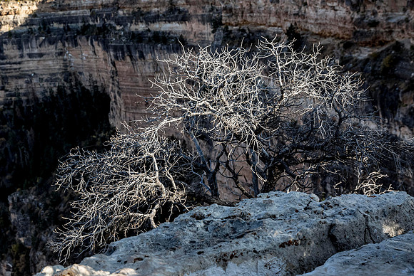 _57A3846