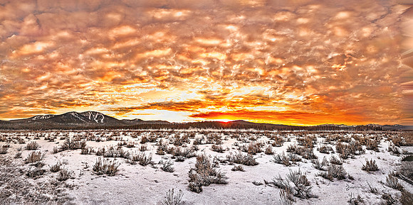 Sagebrush Sky