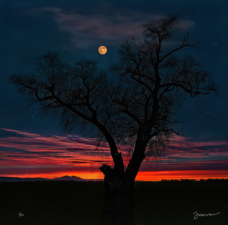 Dawn