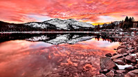 Firewater