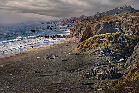 North of Salmon Creek, Bodega