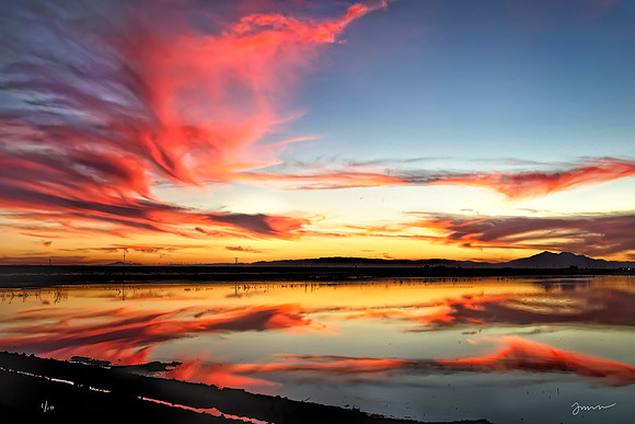 Fire in the Sky